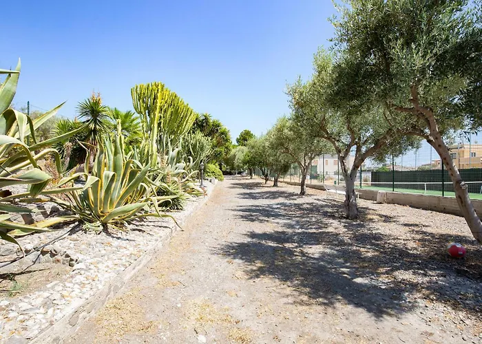 Cozy In With Wifi Saline Joniche